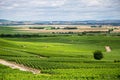 Vineyard landscape, Montagne de Reims, France