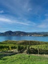 The vineyard landscape in Naramata, British Columbia, Canada in fall season. Naramata is near Penticton in the Okanagan Valley Royalty Free Stock Photo