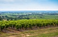 Vineyard landscape near Bordeaux, France Royalty Free Stock Photo