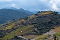 Vineyard landscape near Collioure, Pyrenees Orientales, Roussillon, Vermilion coast, France Royalty Free Stock Photo