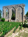 Vineyard landscape near Saint Emilion region Bordeaux France Royalty Free Stock Photo