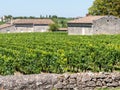 Vineyard landscape near Saint Emilion region Bordeaux France Royalty Free Stock Photo