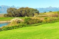 Vineyard landscape, South Africa Royalty Free Stock Photo