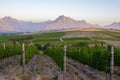 Vineyard landscape at sunset with mountains in Stellenbosch, near Cape Town, South Africa Royalty Free Stock Photo