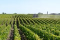 Vineyard landscape tractor spraying of grapevines in Margaux Medoc near Bordeaux France Royalty Free Stock Photo