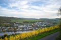 vineyard landscape with a view of the village of Wellen in Germany Royalty Free Stock Photo