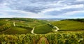 Vineyard landscape in Villany, Hungary