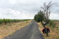 Vineyard in Languedoc-Roussillon (France) Royalty Free Stock Photo