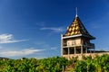 Vineyard and magnificent Chateau Portier built in the architectural style of Burgundy. region Beaujolais, France Royalty Free Stock Photo