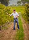 Vineyard, man and walk with wine glass or farmer, grape farm and luxury vintage, alcohol or drink. Standing, sommelier Royalty Free Stock Photo