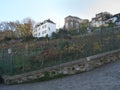 Vineyard in Montmartre Royalty Free Stock Photo