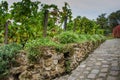Vineyard in Montmartre on Rue des Saules in Paris Royalty Free Stock Photo