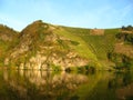 Vineyard at the Moselle