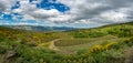 Vineyard of the mount Etna in Sicily, italy Royalty Free Stock Photo