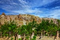 Vineyard and mountain landscape, Cappadocia, Turkey Royalty Free Stock Photo