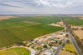 Vineyard near Naracoorte in Australia Royalty Free Stock Photo