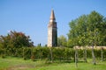 Vineyard near the old bell tower on the Mazzorbo island on a sunny afternoon. Venice italy Royalty Free Stock Photo