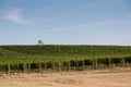 Vineyard near small village, blue sky, agriculture and wine Royalty Free Stock Photo