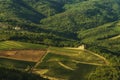 Vineyard near Volpaia town in Chianti region in province of Siena. Tuscany landscape. Italy Royalty Free Stock Photo