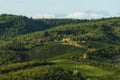 Vineyard near Volpaia town in Chianti region in province of Siena. Tuscany landscape. Italy Royalty Free Stock Photo