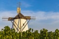 Vineyard near Windmill Retz, Lower Austria, Austria Royalty Free Stock Photo