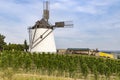 Vineyard near Windmill Retz, Lower Austria, Austria Royalty Free Stock Photo