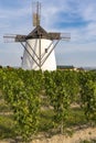 Vineyard near Windmill Retz, Lower Austria, Austria Royalty Free Stock Photo