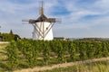 Vineyard near Windmill Retz, Lower Austria, Austria Royalty Free Stock Photo