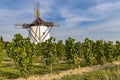 Vineyard near Windmill Retz, Lower Austria, Austria Royalty Free Stock Photo