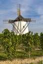 Vineyard near Windmill Retz, Lower Austria, Austria Royalty Free Stock Photo