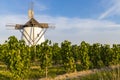 Vineyard near Windmill Retz, Lower Austria, Austria Royalty Free Stock Photo