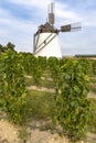 Vineyard near Windmill Retz, Lower Austria, Austria Royalty Free Stock Photo