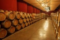 Vineyard Oak Barrels Royalty Free Stock Photo