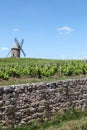 Vineyard with old windmill in Moulin a Vent, Beaujolais Royalty Free Stock Photo