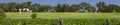 Swan River Vineyard Panorama, Western Australia