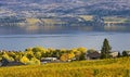 Vineyard Overlooking Okanagan Lake Kelowna BC Canada Royalty Free Stock Photo