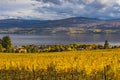 Vineyard Overlooking Okanagan Lake Kelowna BC Canada Royalty Free Stock Photo