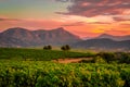 Vineyard panorama area nemea Royalty Free Stock Photo