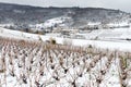 Beaujolais vineyard and village under snow Royalty Free Stock Photo