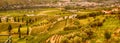 Vineyard at Peso da Regua in Alto Douro Wine Region, Portugal