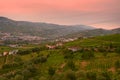 Vineyard at Peso da Regua in Alto Douro Wine Region, Portugal