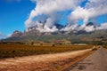 Vineyard on Plaisir de Merle Royalty Free Stock Photo