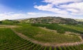 Vineyard plantations, panoramic aerial view Royalty Free Stock Photo