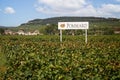 Vineyard with Pommard wine sign in amongst the vines in Pommard, Burgundy, France