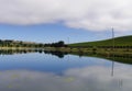 A Vineyard With A Pond Royalty Free Stock Photo