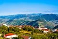 View on Vineyard in Provesende village in the Douro Valley region, Portugal Royalty Free Stock Photo