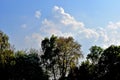 Vineyard and Recreation Park Lohrberg - Trees in the Park with Clouds Royalty Free Stock Photo