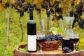 Vineyard with red wine bottle Royalty Free Stock Photo