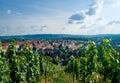 Vineyard and residential district in Stuttgart. Royalty Free Stock Photo
