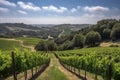 vineyard with rolling hills and scenic views, perfect for a vineyard wedding